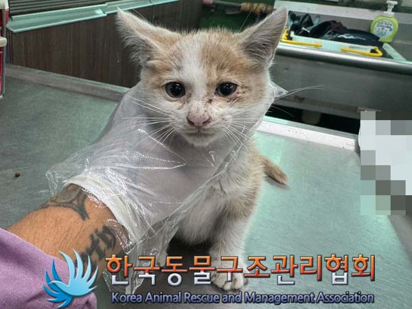 한국동물구조관리협회_441406202401224